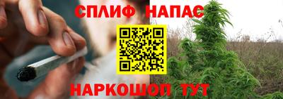 сатива Ижевск
