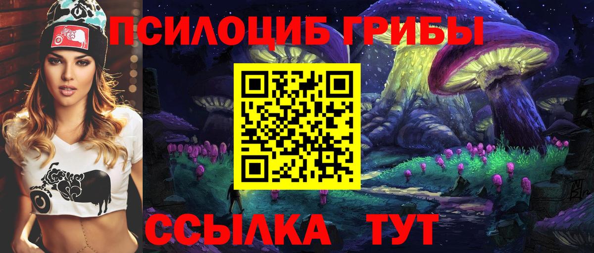 Галлюциногенные грибы Psilocybe  Вход с VPN  Псилоцибиновые грибы ЛСД  Пенза 