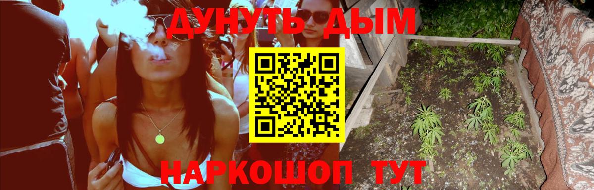 Конопля семена Пенза